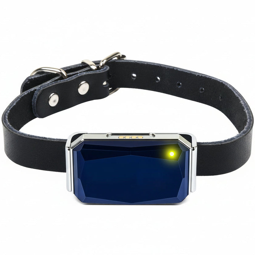 LocaPet Premium GPS Tracker voor Honden en Katten - Realtime Locatie & Veiligheid